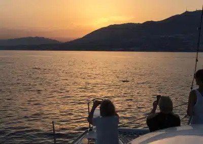 Sunset in catamaran benalmadena costa del sol
