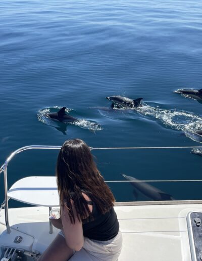 Dolphin spotting aboard a catamaran in Benalmádena