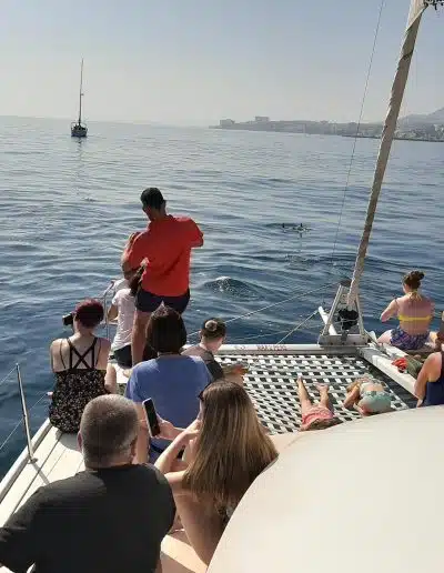 Dolphin spotting boat in Puerto Marina